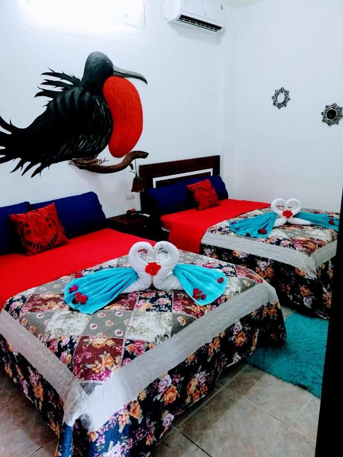 Suite Galarous Island Puerto Ayora  Kültér fotó
